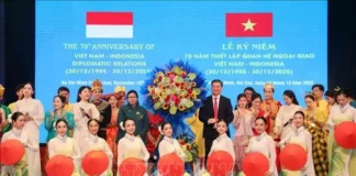 HCM City berkomitmen untuk memajukan hubungan Vietnam-Indonesia