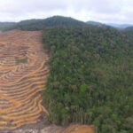 Indonesia memproses 35 izin pesawat asing untuk mendukung respons kebakaran hutan