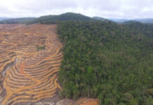 Indonesia memproses 35 izin pesawat asing untuk mendukung respons kebakaran hutan
