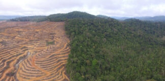 Indonesia memproses 35 izin pesawat asing untuk mendukung respons kebakaran hutan