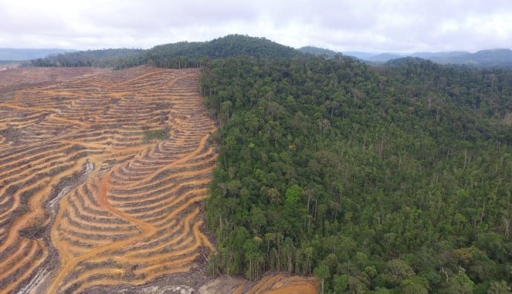 Indonesia memproses 35 izin pesawat asing untuk mendukung respons kebakaran hutan
