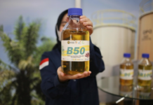 Pergeseran Bioenergi: Peran Indonesia yang Muncul di Asia Tenggara