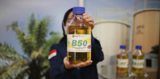 Pergeseran Bioenergi: Peran Indonesia yang Muncul di Asia Tenggara